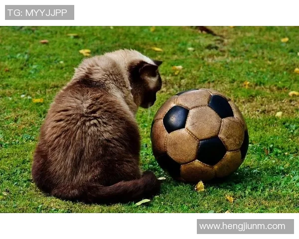 足球明星与他们的专属动物究竟有何独特联系揭秘之谜 足球明星与他们的专属动物究竟有何独特联系揭秘之谜